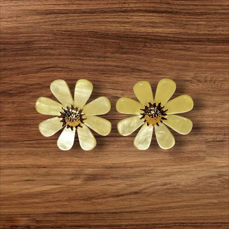 Boucles d'oreilles